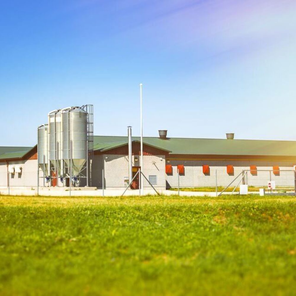 IBK cloud agriculture